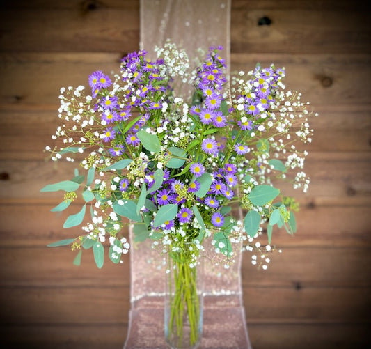 "Aster-nomical" (Virgo Zodiac)