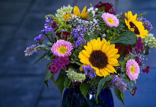 "Adventurous Wanderer" (Sagittarius Zodiac)