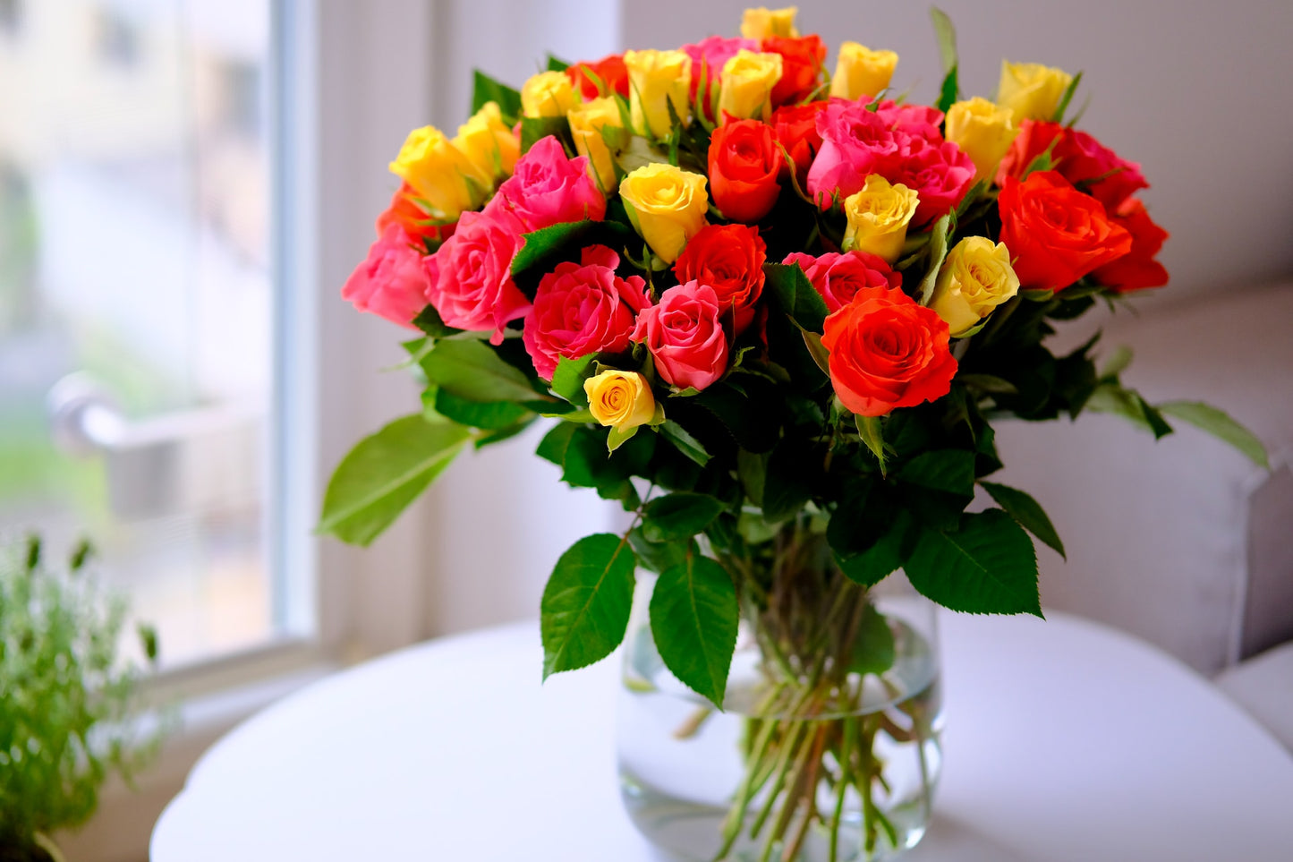 "Rosey Blooms" (Love-Just Roses)