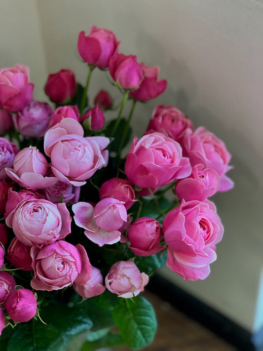 "Rosey Blooms" (Love-Just Roses)