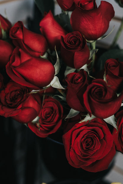 "Rosey Blooms" (Love-Just Roses)
